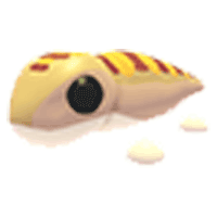 Sandfish - Common from Desert Egg